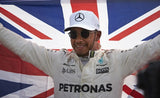 Mercedes AMG Petronas Hamilton World Champion Formula T-Shirt F1 Size: